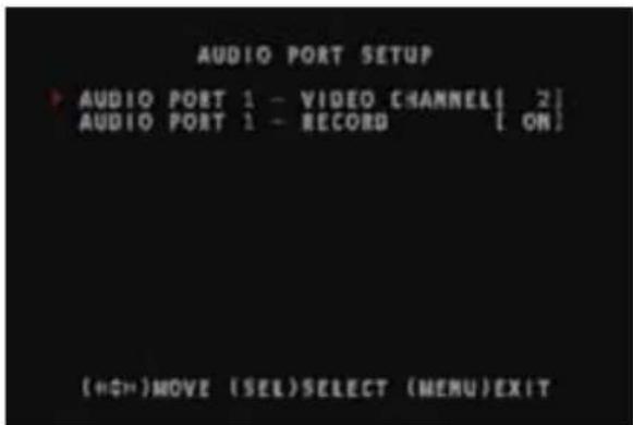 SWANN SW342-LPP - Audio Port Setup - 1
