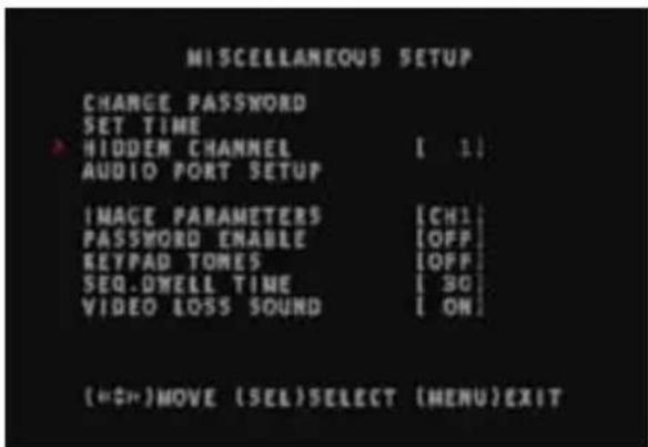 SWANN SW342-LPP - Hidden Channel - 1