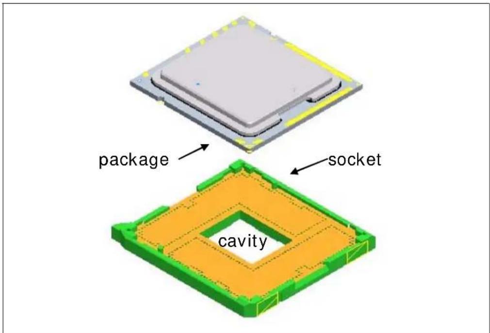 package socket cavity