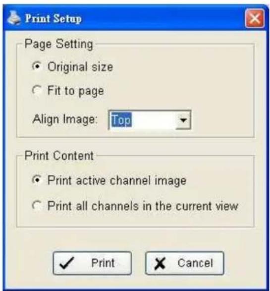 Print Setup Page Setting • Original size • Fit to page Align Image: Top Print Content • Print active channel image • Print all channels in the current view ✓ Print ✗ Cancel