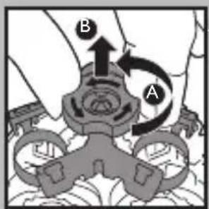 B A