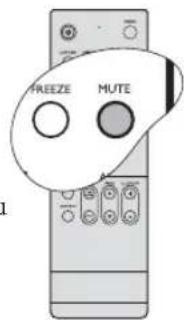 FREEZE MUTE