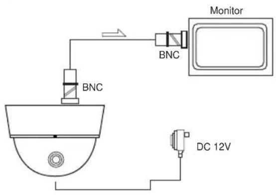 Monitor BNC BNC DC 12V