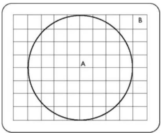 A B
