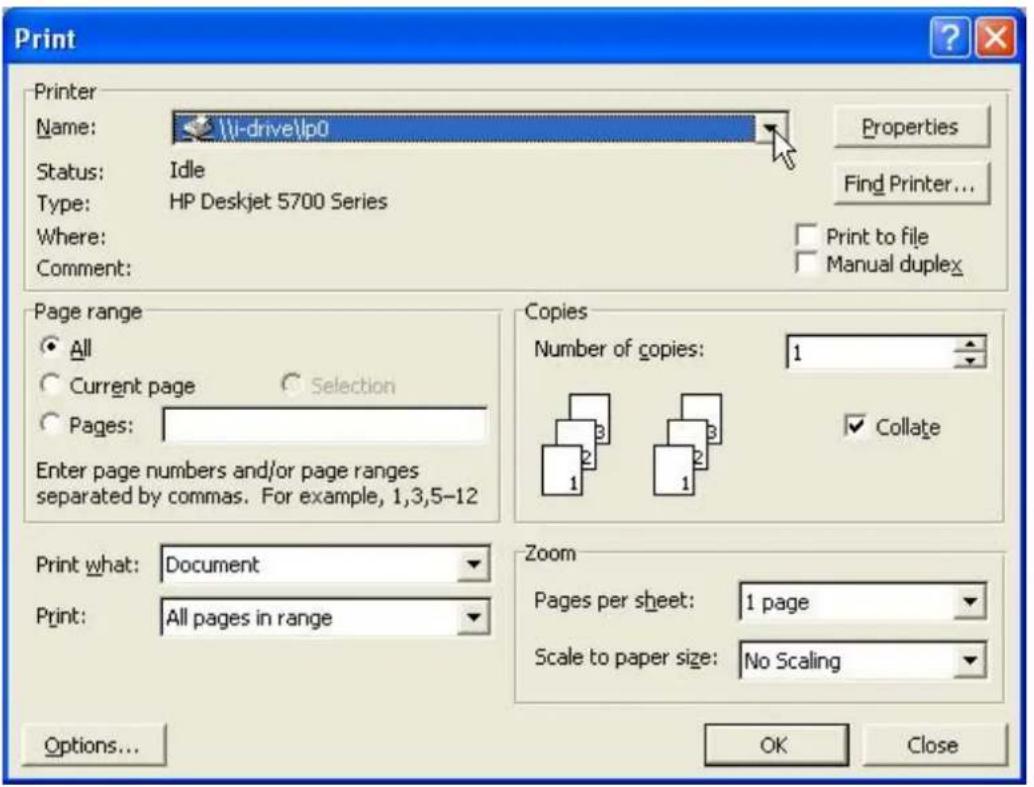 Lindy 32493 - The printer is ready for use now. - 1