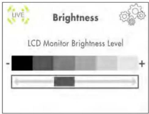 Lorex LW242B - To adjust screen brightness: - 1