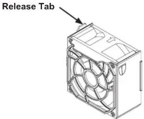 Release Tab