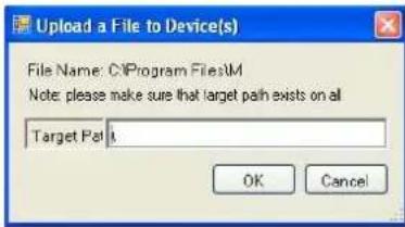 Upload a File to Device(s) File Name: C:\Program Files\M Note: please make sure that target path exists on all Target Path OK Cancel
