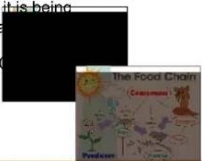 AVer VISSPC3LB - Name Function - 1