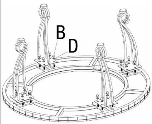 B D