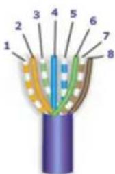 Diagram of a multi-core cable with numbered components, likely illustrating electrical or mechanical assembly.