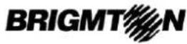 BRIGMTON BPhone-501QC - GESTOR DE ARCHIVOS - 2