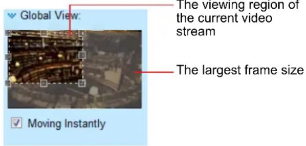 Global View: The viewing region of the current video stream The largest frame size Moving Instantly