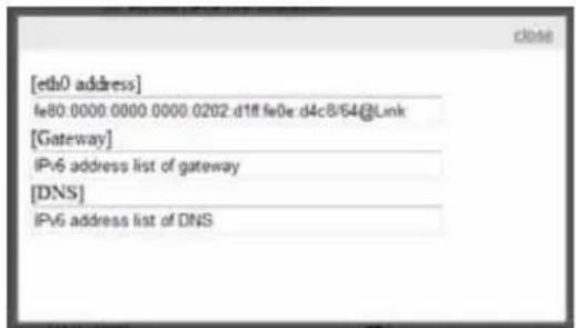 [eth0 address] fe80 0000 0000 0000 0202 d1ff fe0e d4c8/64@Link [Gateway] IPv6 address list of gateway [DNS] IPv6 address list of DNS
