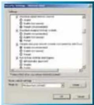 SWANN SWDVK-825508C - Adjusting the Security Settings in Internet Explorer - 5