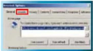 SWANN SWDVK-825508C - Adjusting the Security Settings in Internet Explorer - 2