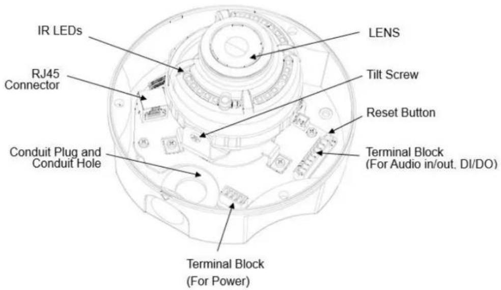 IR LEDs LENS RJ45 Connector Tilt Screw Reset Button Conduit Plug and Conduit Hole Terminal Block (For Audio in/out. DI/DO) Terminal Block (For Power)