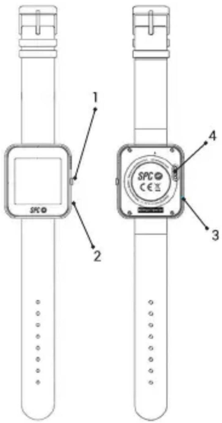 Actividad Enlazar Smartee Watch Enlazado Pulsa para sueño 1 2 5 0.00 kcal 0.000 km 0 Pasos 6 Nombre BT Ajustes básicos Ajustes notificaciones 4 3