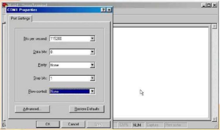 Micronet RAIDBank4 - C-Terminal Session Setup - 2