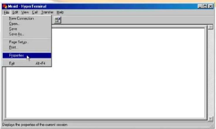 Micronet RAIDBank4 - C-Terminal Session Setup - 3