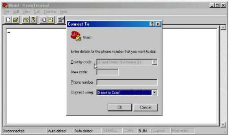 Micronet RAIDBank4 - C-Terminal Session Setup - 1