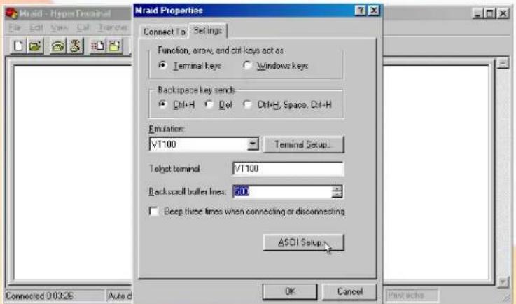 Micronet RAIDBank4 - C-Terminal Session Setup - 5