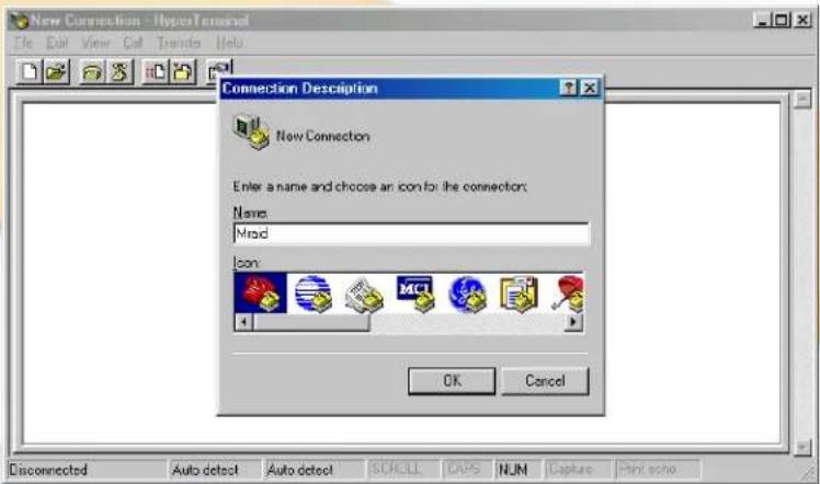 Micronet RAIDBank4 - Appendix C- Terminal Session Setup - 1