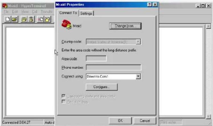 Micronet RAIDBank4 - C-Terminal Session Setup - 4