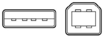 Rocstor BIGROC 5c - FireWire 400 (IEEE 1394a) - 5