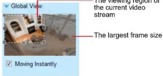 Global View: The viewing region of the current video stream The largest frame size Moving Instantly