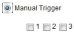 TOSHIBA IK-WD31A - ■ Manual Trigger - 1