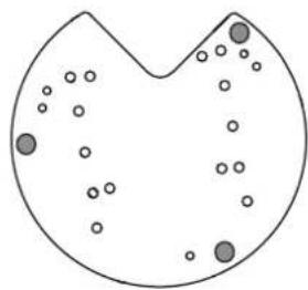 Simple line drawing of a fish-like shape with scattered circular elements inside (no text or symbols)