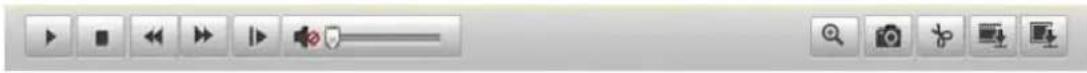 Screenshot of a software toolbar with media control icons and playback controls