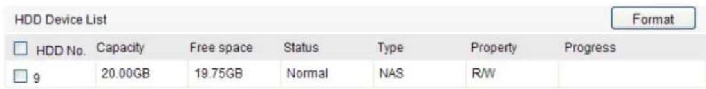 HDD Device List Format □ HDD No. Capacity Free space Status Type Property Progress □ 9 20.00GB 19.75GB Normal NAS R/W