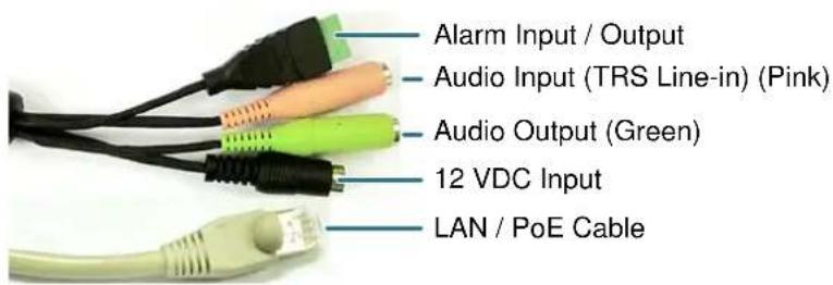 Alarm Input / Output Audio Input (TRS Line-in) (Pink) Audio Output (Green) 12 VDC Input LAN / PoE Cable