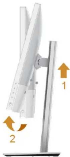 DELL MRJ9P - Rotating the Monitor - 1