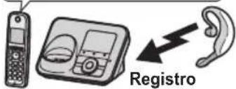 Registro