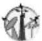 PANASONIC EB-MX7 - Downloading video clips - 1