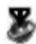 PANASONIC EB-MX7 - Online status icons - 1