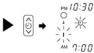 PM 10:30 AM 7:00