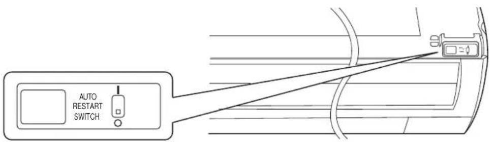 AUTO RESTART SWITCH