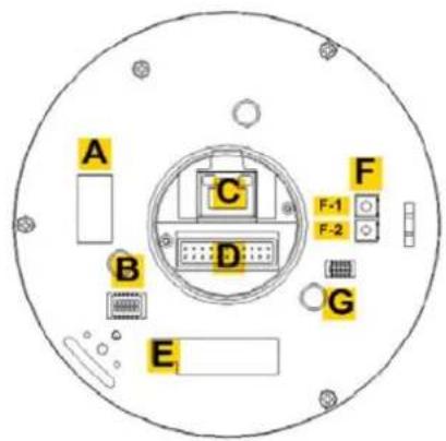A B C D E F F-1 F-2 G