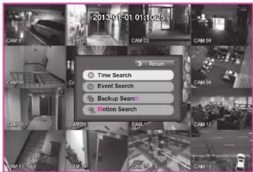 2013-01-01 01:10:25 Time Search Event Search Backup Search Motion Search