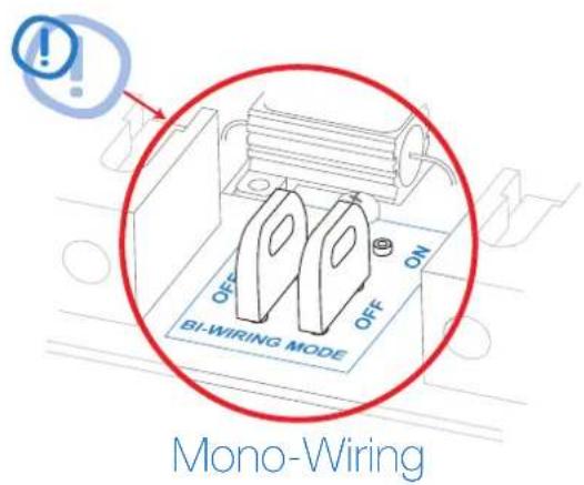 AUDISON THX 2 - THX mh Mono-Wiring connection - 2