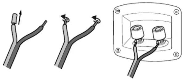 Teufel T 130 C - Make sure the polarity is correct! - 1