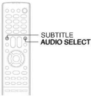 SUBTITLE AUDIO SELECT
