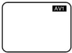 AV1