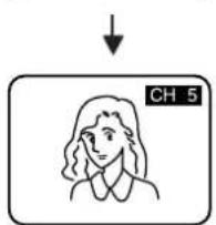 CH 5