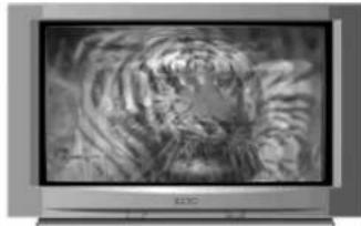 HITACHI C28W411TN - Q) My TV fails to switch on. - 2