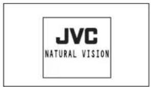 JVC NATURAL VISION